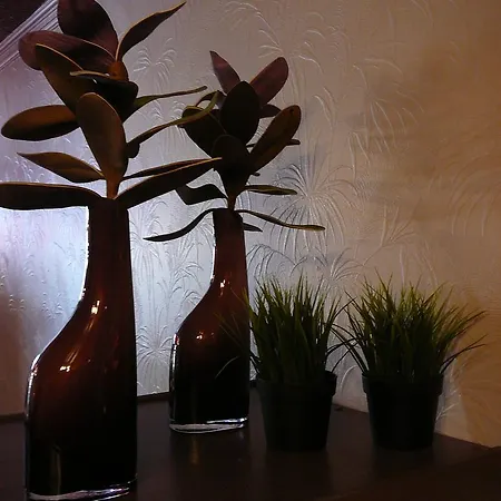 La Violette D'eau *