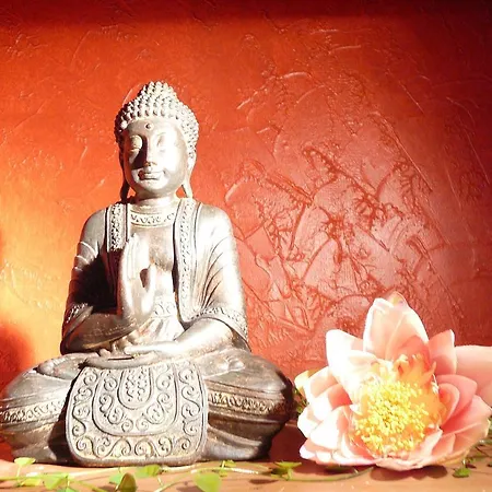 Bed & Breakfast La Violette D'eau