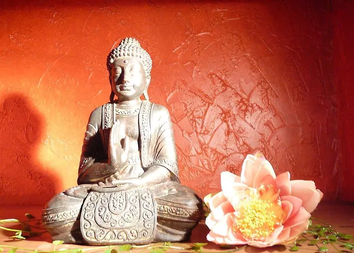 Bed & Breakfast La Violette D'eau