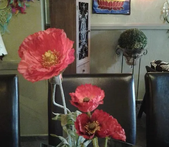 Bed & Breakfast La Violette D'eau *