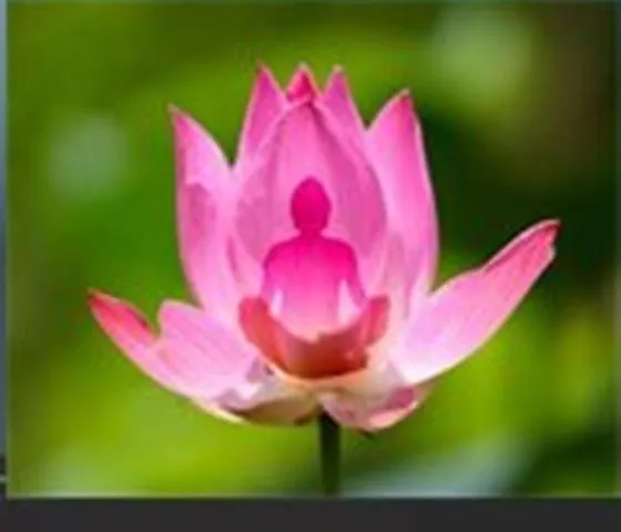 La Violette D'eau Bed & Breakfast