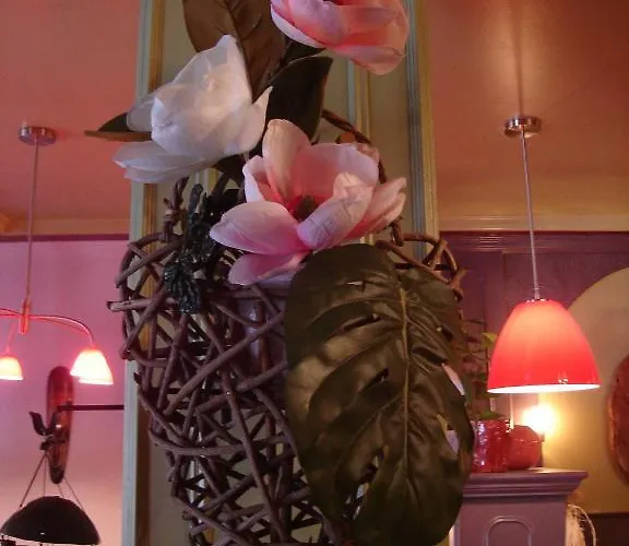 Couette-café La Violette D'eau *